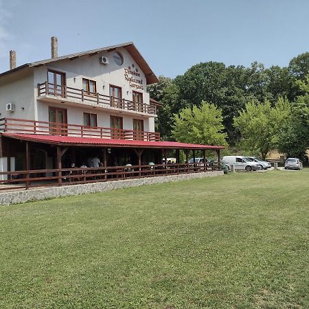 Pensiunea Larysse Băile Felix Esterno foto