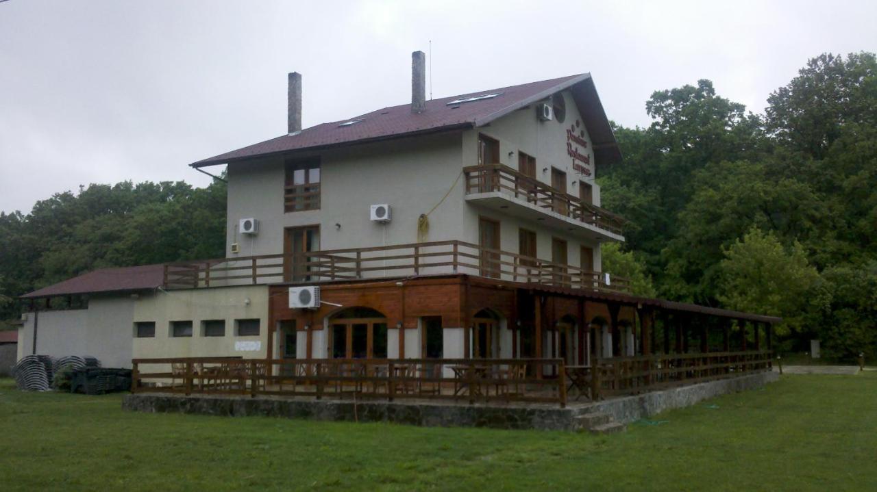 Pensiunea Larysse Băile Felix Esterno foto