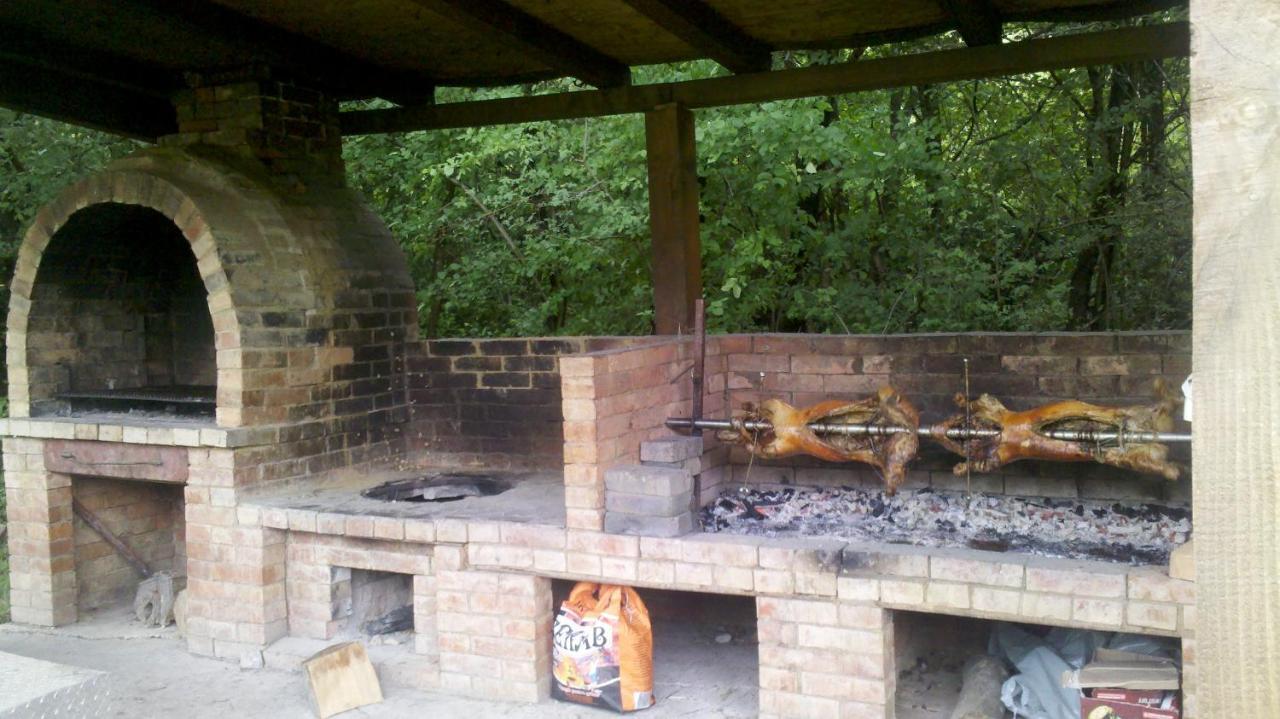 Pensiunea Larysse Băile Felix Esterno foto