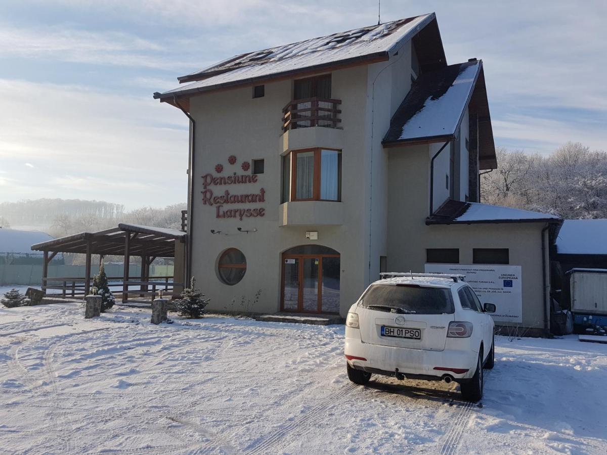 Pensiunea Larysse Băile Felix Esterno foto