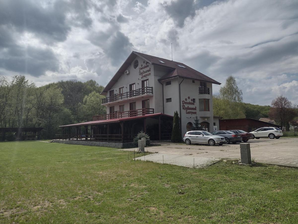 Pensiunea Larysse Băile Felix Esterno foto