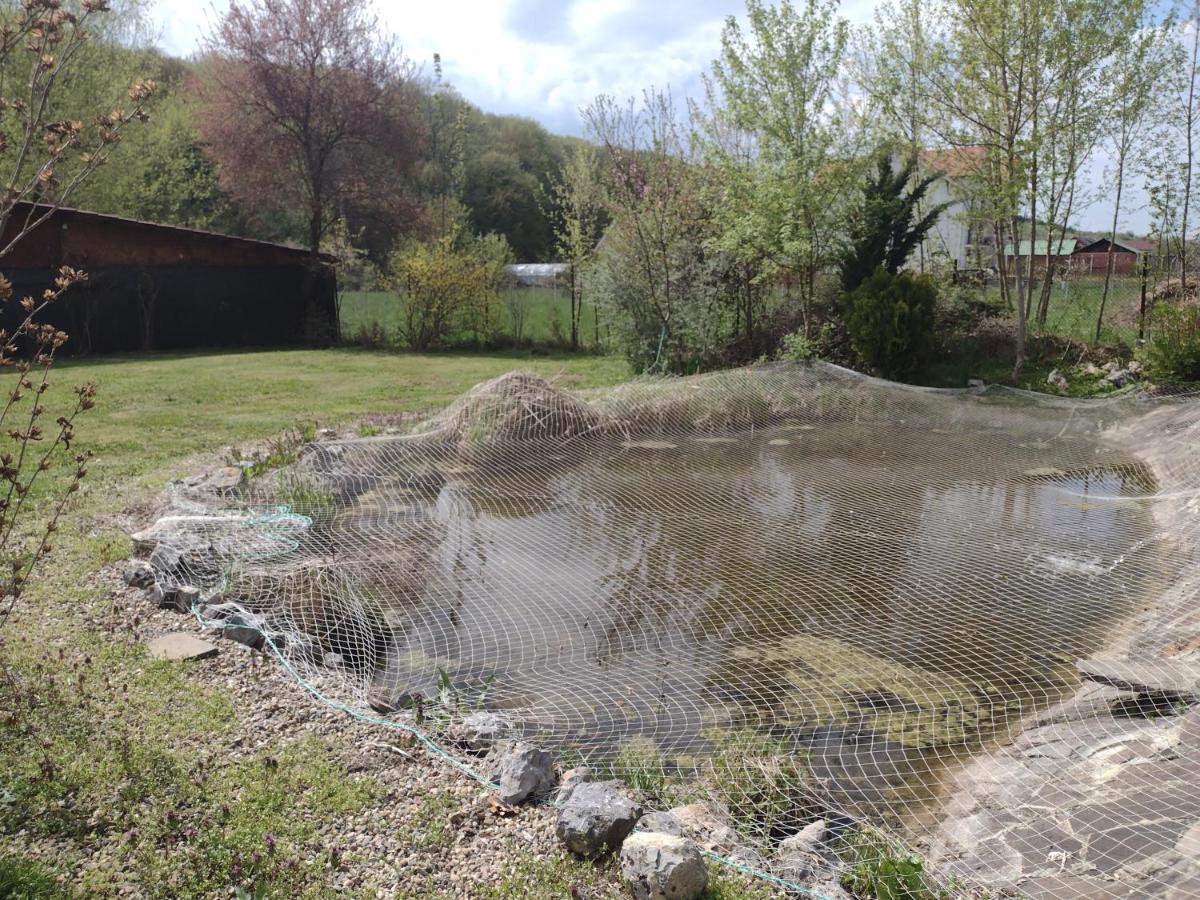 Pensiunea Larysse Băile Felix Esterno foto